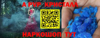 spice Гатчина