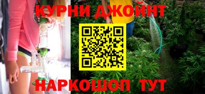 spice Гатчина