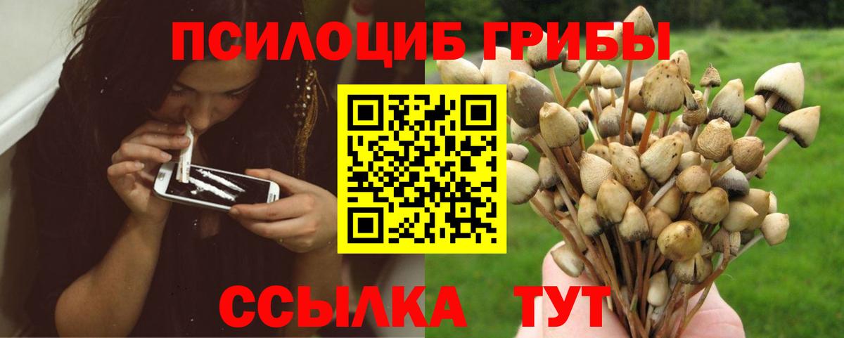 Галлюциногенные грибы прущие грибы Моздок
